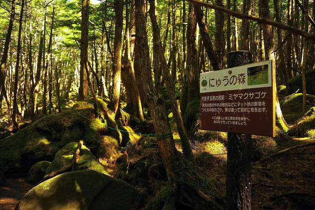 f:id:Argon:20191010231420j:plain f:id:Argon:20191010231420j:plain