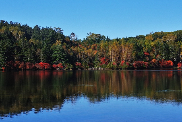 f:id:Argon:20191010231820j:plain f:id:Argon:20191010231820j:plain