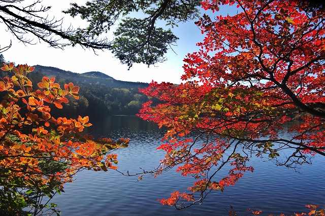 f:id:Argon:20191010231848j:plain f:id:Argon:20191010231848j:plain