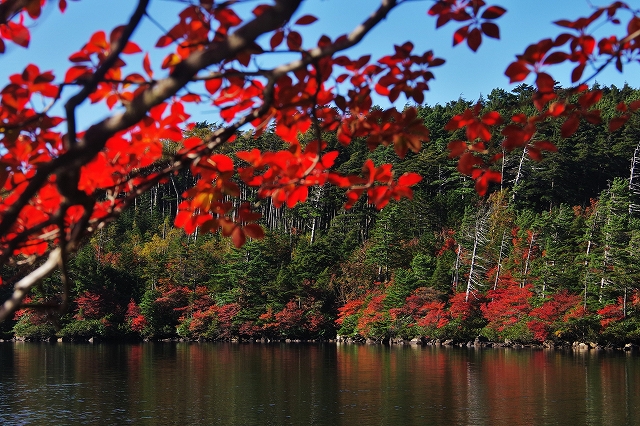 f:id:Argon:20191010231852j:plain f:id:Argon:20191010231852j:plain