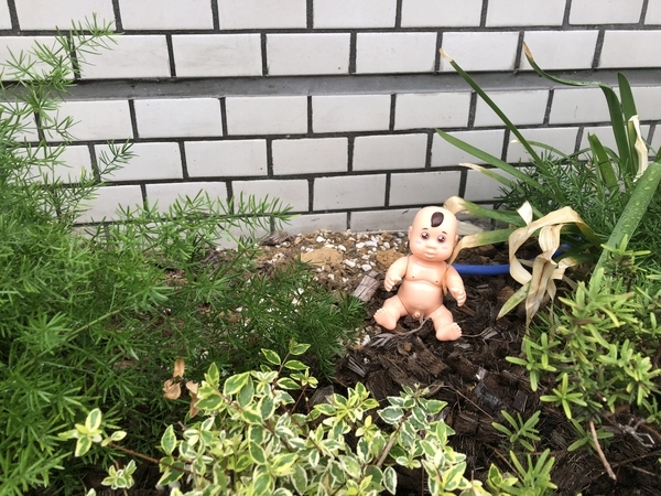 f:id:Arufa:20180902150201j:plain f:id:Arufa:20180902150201j:plain