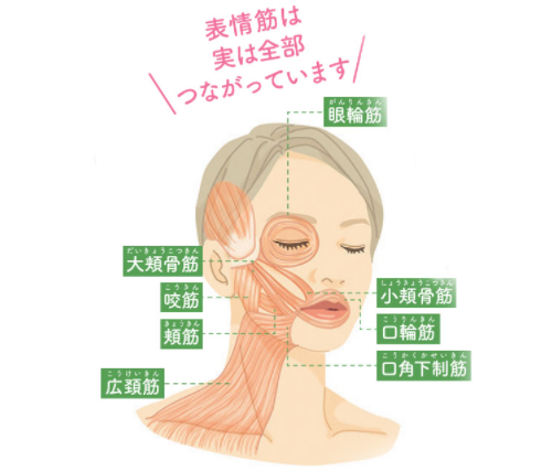 f:id:Boke-Boke:20210908144815p:plain