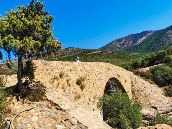 f:id:Chaco11:20210416165601j:plain