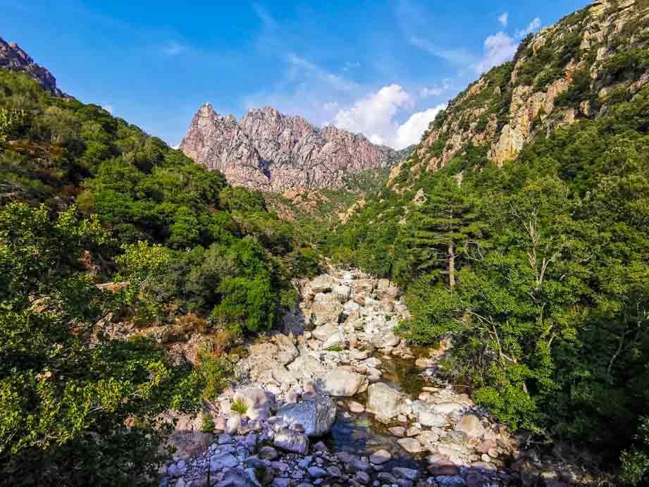 f:id:Chaco11:20210416170208j:plain