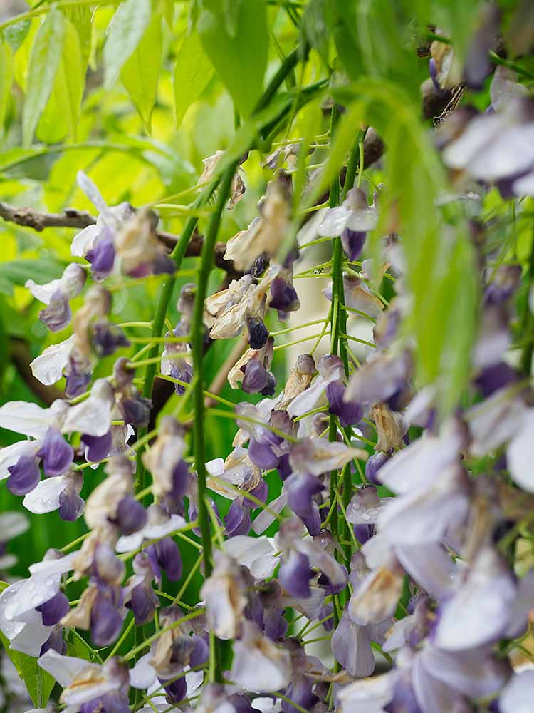 f:id:Etsuro1:20210413111520j:plain