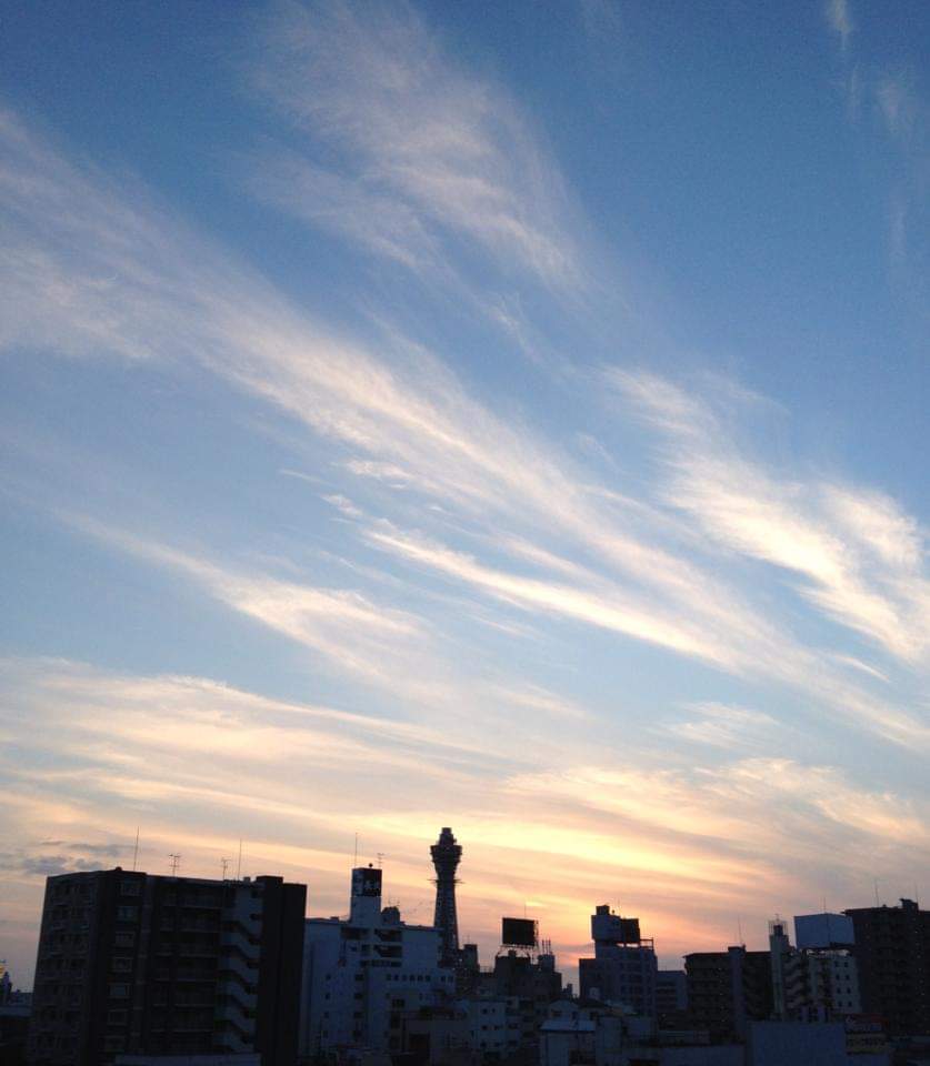 f:id:Kaimotu_Hatuji:20190513185835j:plain f:id:Kaimotu_Hatuji:20190513185835j:plain