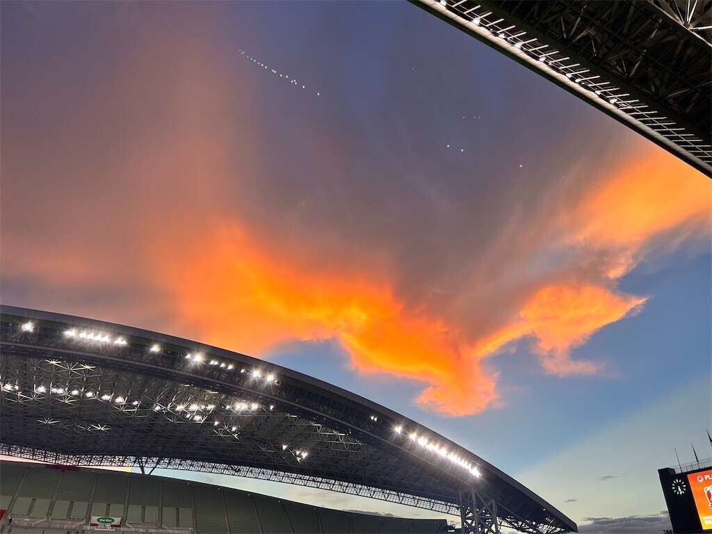 f:id:Magnoliarida:20230823011753j:image f:id:Magnoliarida:20230823011753j:image