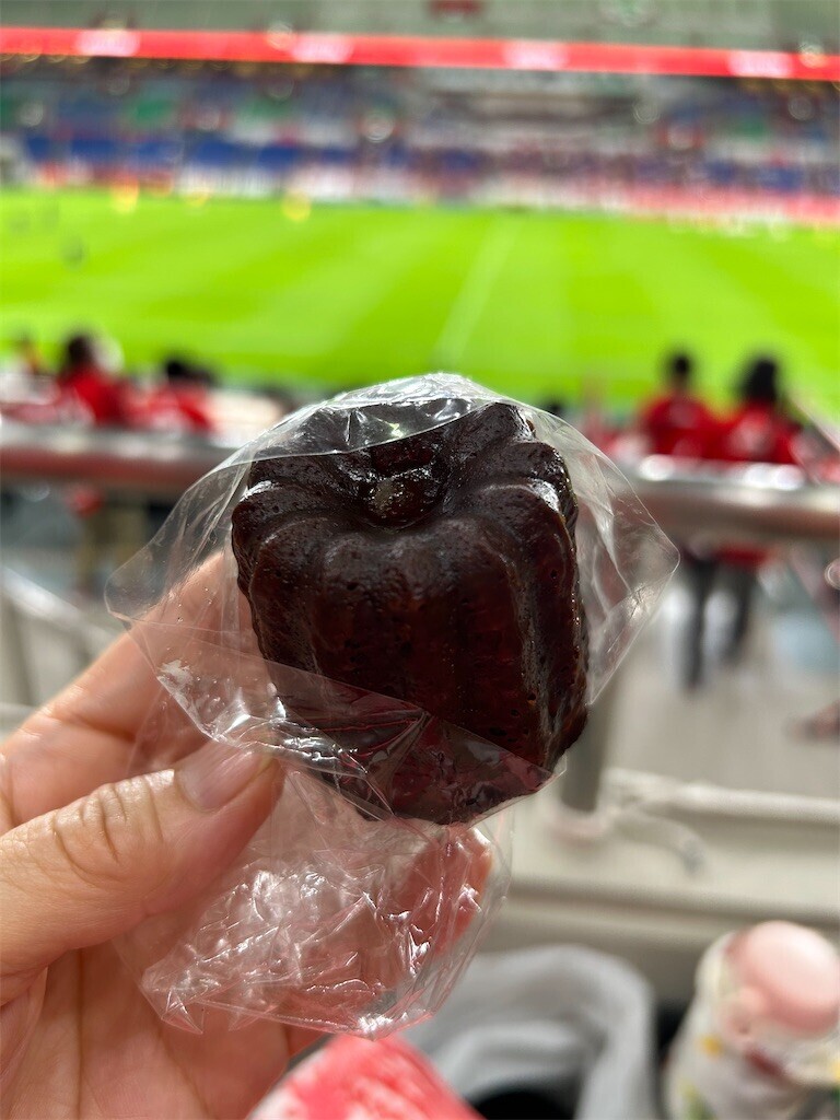 f:id:Magnoliarida:20230823185706j:image f:id:Magnoliarida:20230823185706j:image