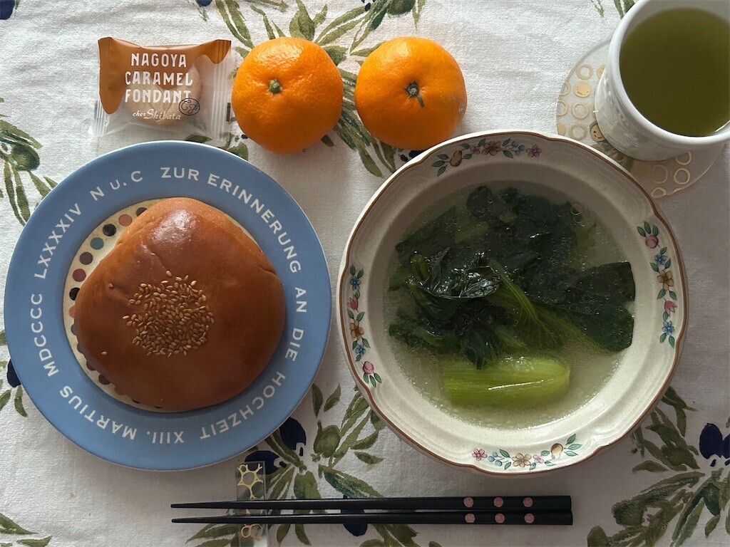 f:id:Magnoliarida:20251226083953j:image f:id:Magnoliarida:20251226083953j:image