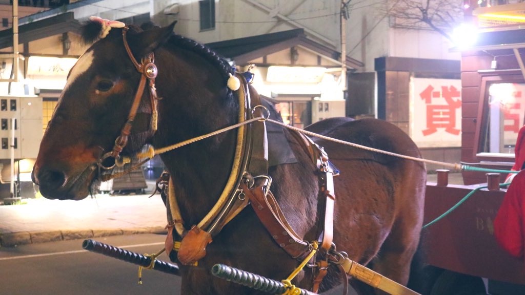 f:id:PlugOut:20220521212833j:image f:id:PlugOut:20220521212833j:image