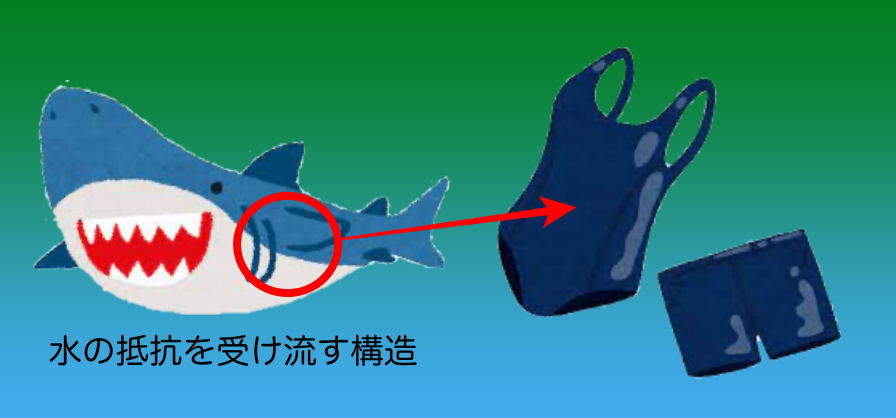 f:id:SAKU413:20210419142631p:plain