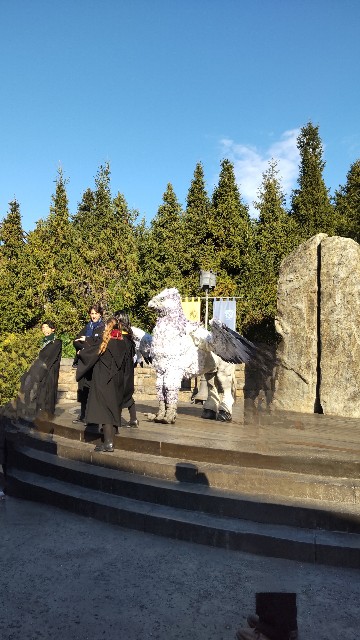 f:id:UMEKOKO:20241219063207j:image f:id:UMEKOKO:20241219063207j:image