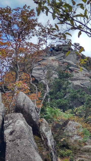 f:id:UMEKOKO:20251015180623j:image f:id:UMEKOKO:20251015180623j:image