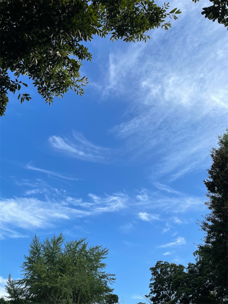 f:id:YoroCon:20220814202731j:image f:id:YoroCon:20220814202731j:image