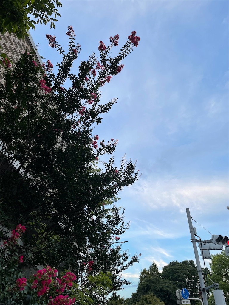 f:id:YoroCon:20220814202754j:image f:id:YoroCon:20220814202754j:image