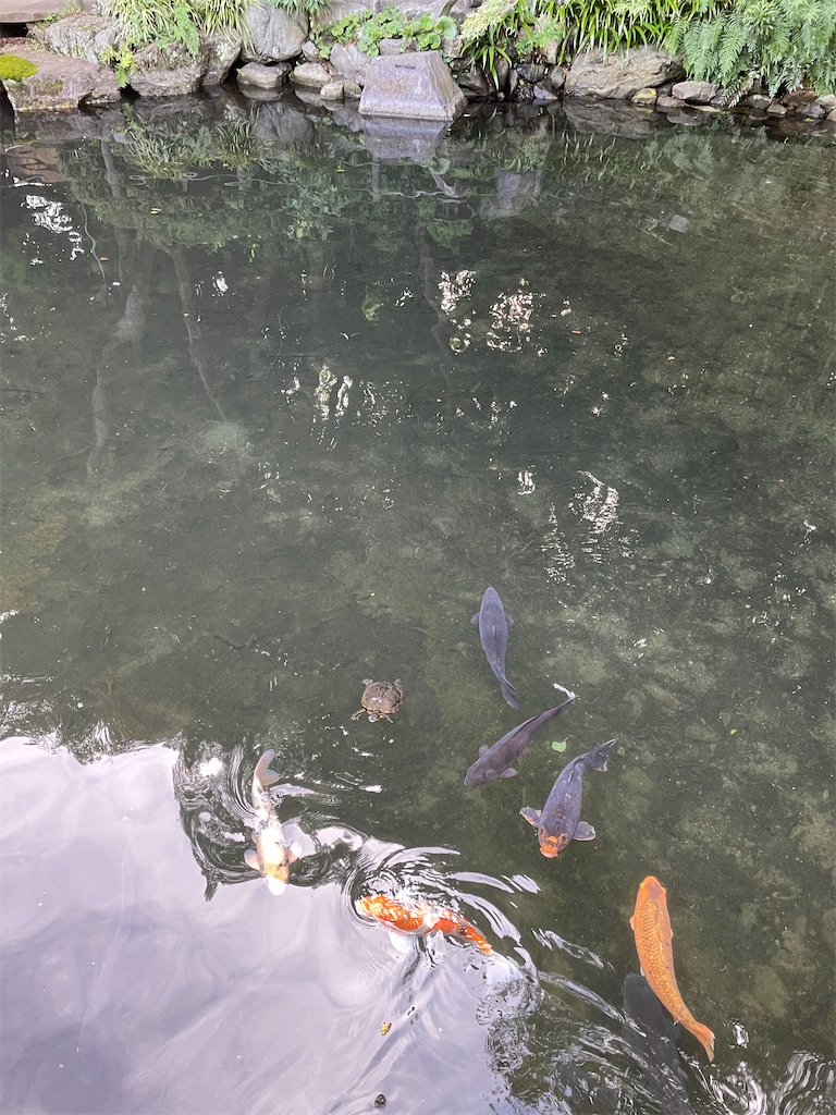 f:id:YoroCon:20220814202809j:image f:id:YoroCon:20220814202809j:image