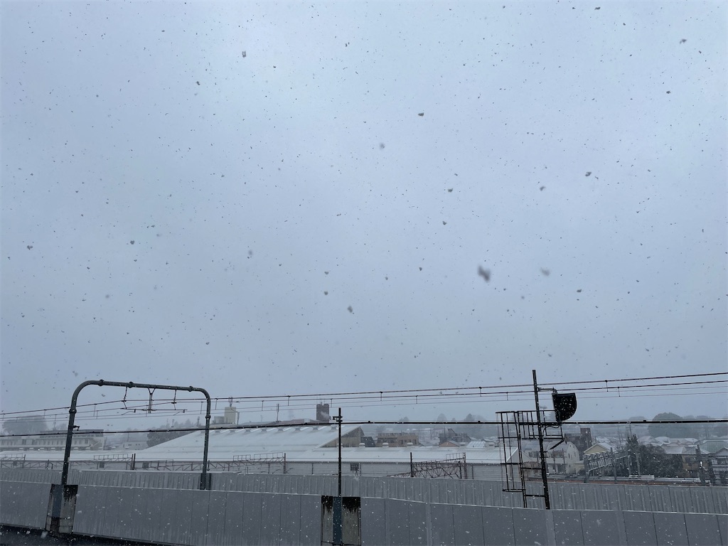 f:id:YoroCon:20240205225651j:image f:id:YoroCon:20240205225651j:image