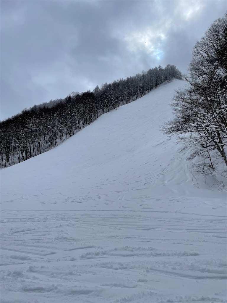 f:id:YoroCon:20240205230319j:image f:id:YoroCon:20240205230319j:image