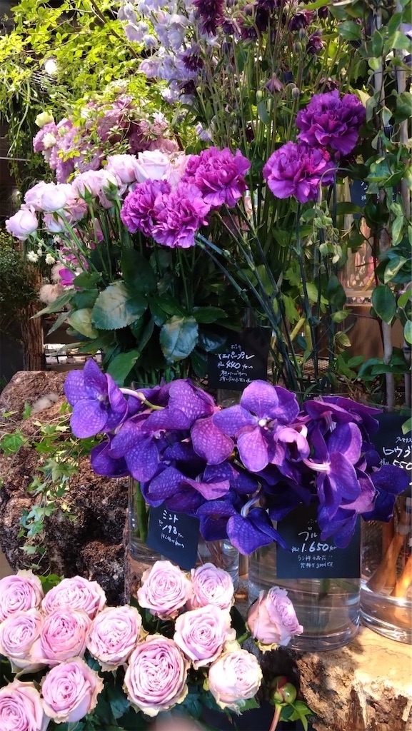 f:id:Yukonosuke:20230718232202j:image f:id:Yukonosuke:20230718232202j:image