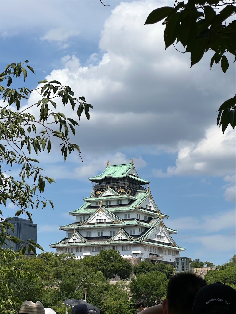 f:id:Yukonosuke:20250714231028j:image f:id:Yukonosuke:20250714231028j:image