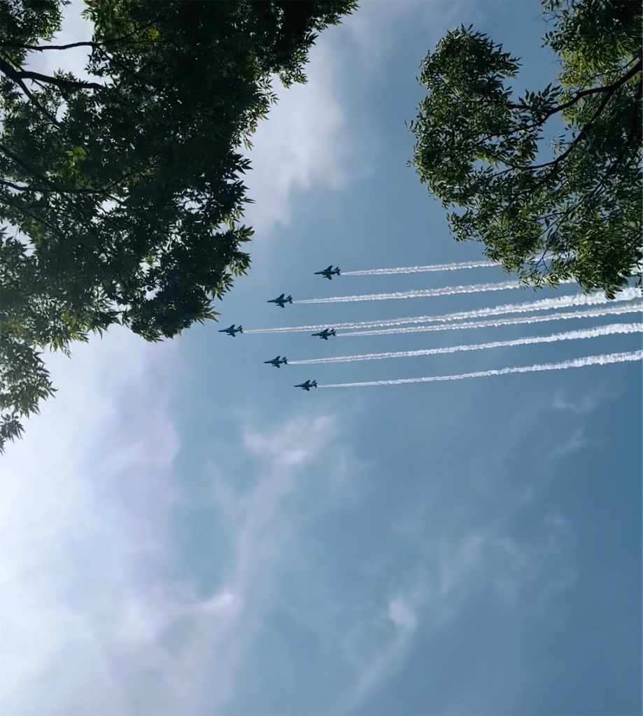 f:id:Yukonosuke:20250714232956j:image f:id:Yukonosuke:20250714232956j:image