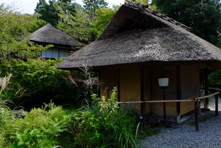 f:id:a-jyanaika:20201116135750j:plain f:id:a-jyanaika:20201116135750j:plain