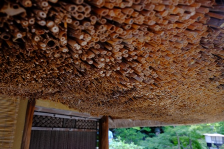 f:id:a-jyanaika:20201116140204j:plain f:id:a-jyanaika:20201116140204j:plain