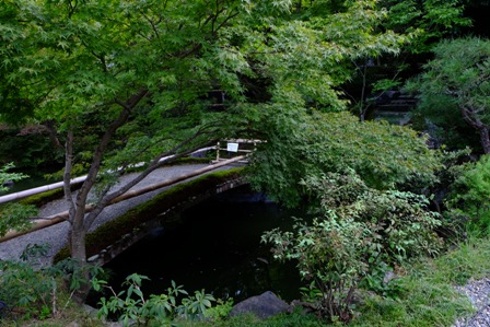 f:id:a-jyanaika:20201116140958j:plain f:id:a-jyanaika:20201116140958j:plain