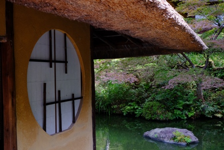 f:id:a-jyanaika:20201116144713j:plain f:id:a-jyanaika:20201116144713j:plain