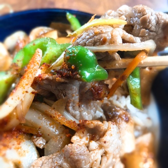 f:id:a-jyanaika:20210129001048j:plain