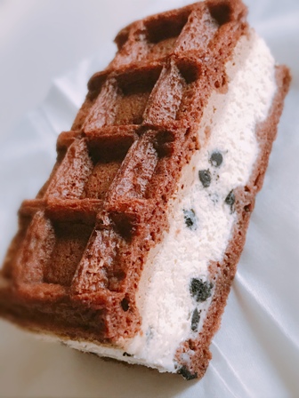 f:id:a-jyanaika:20210225152537j:plain