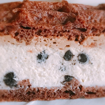 f:id:a-jyanaika:20210225153056j:plain