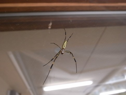 f:id:akinosato:20120910103544j:image f:id:akinosato:20120910103544j:image