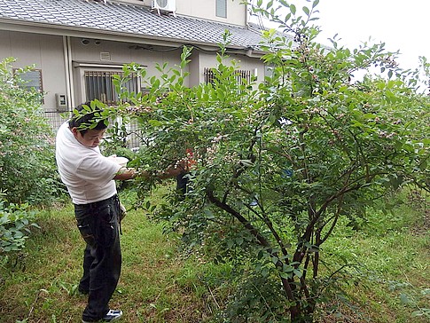 f:id:akinosato:20150709112102j:image f:id:akinosato:20150709112102j:image