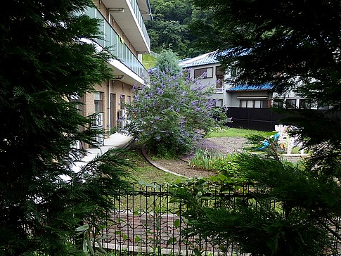 f:id:akinosato:20150709112806j:image f:id:akinosato:20150709112806j:image