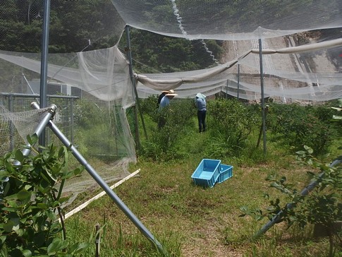 f:id:akinosato:20180710132259j:image f:id:akinosato:20180710132259j:image