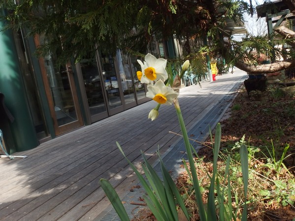 f:id:akinosato:20190215114633j:plain f:id:akinosato:20190215114633j:plain