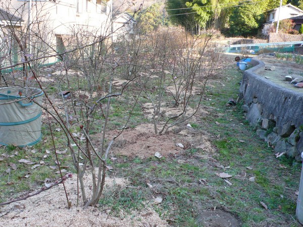 f:id:akinosato:20210219160815j:plain