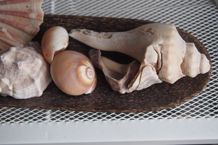 f:id:aremo-koremo:20140827130240j:plain f:id:aremo-koremo:20140827130240j:plain