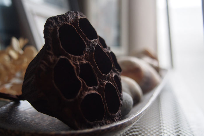 f:id:aremo-koremo:20140827130241j:plain f:id:aremo-koremo:20140827130241j:plain