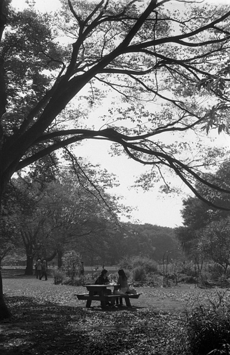 f:id:aremo-koremo:20141022185343j:plain f:id:aremo-koremo:20141022185343j:plain