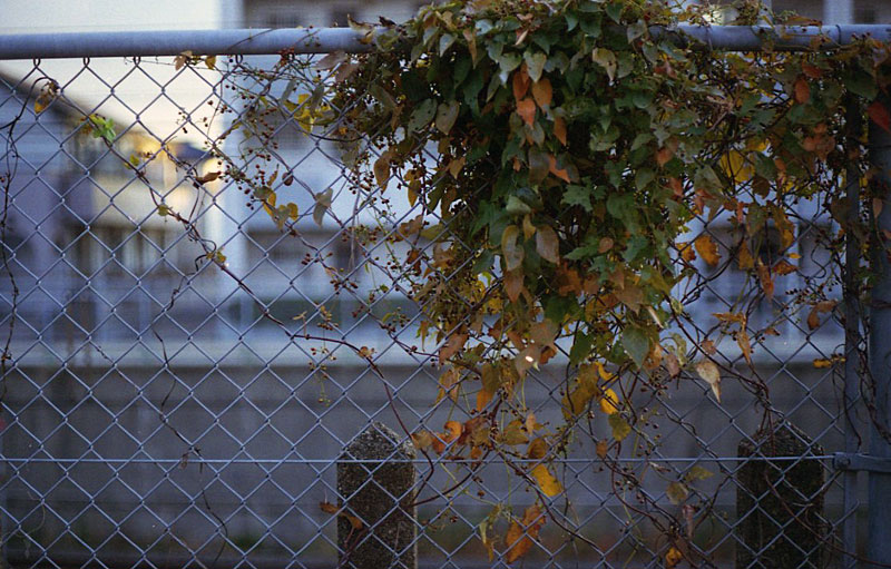 f:id:aremo-koremo:20141207171831j:plain f:id:aremo-koremo:20141207171831j:plain