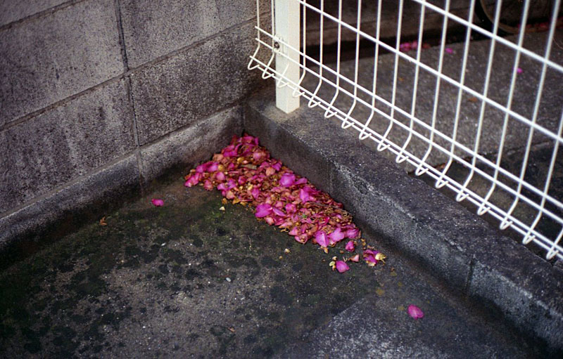 f:id:aremo-koremo:20141207171851j:plain f:id:aremo-koremo:20141207171851j:plain