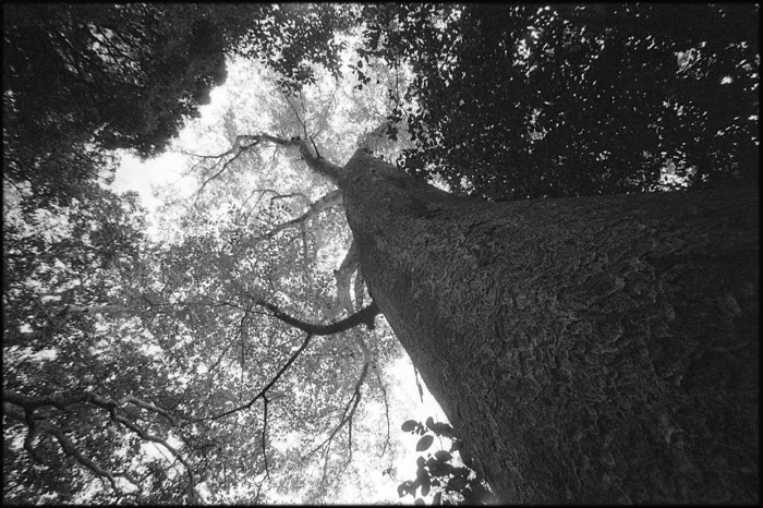 f:id:aremo-koremo:20150711121228j:plain f:id:aremo-koremo:20150711121228j:plain