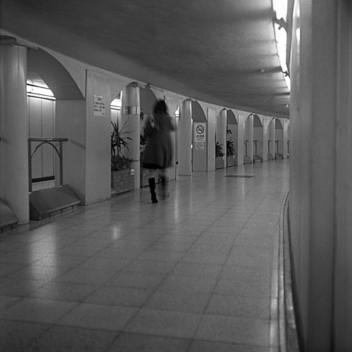 f:id:aremo-koremo:20150711122049j:plain f:id:aremo-koremo:20150711122049j:plain