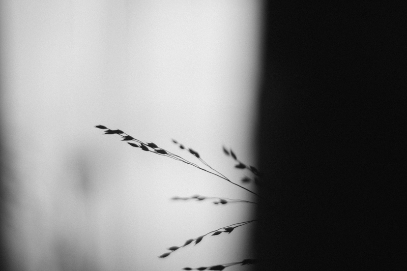 f:id:aremo-koremo:20151019162333j:plain f:id:aremo-koremo:20151019162333j:plain