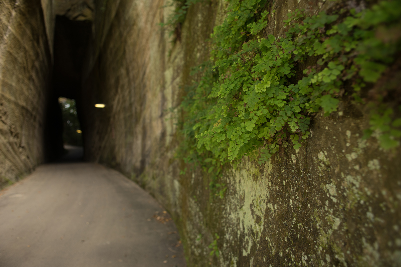 f:id:aremo-koremo:20151019163751j:plain f:id:aremo-koremo:20151019163751j:plain