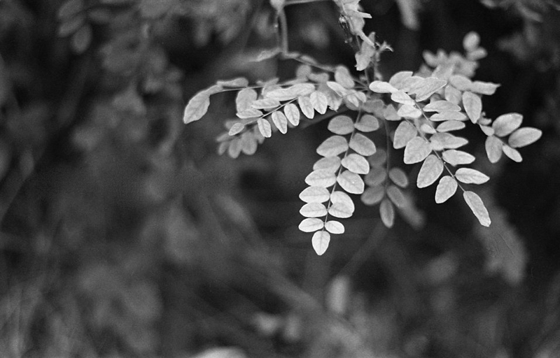 f:id:aremo-koremo:20160531152534j:plain f:id:aremo-koremo:20160531152534j:plain