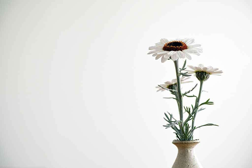 f:id:aremo-koremo:20160726003138j:plain f:id:aremo-koremo:20160726003138j:plain