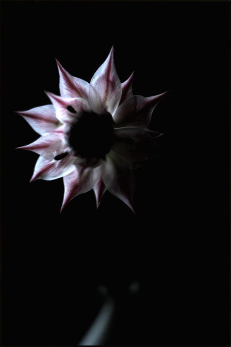 f:id:aremo-koremo:20170225173304j:plain f:id:aremo-koremo:20170225173304j:plain